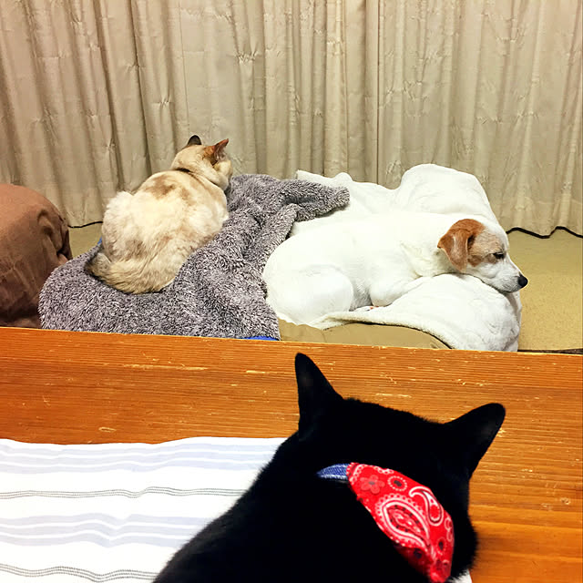 nanaさんの実例写真