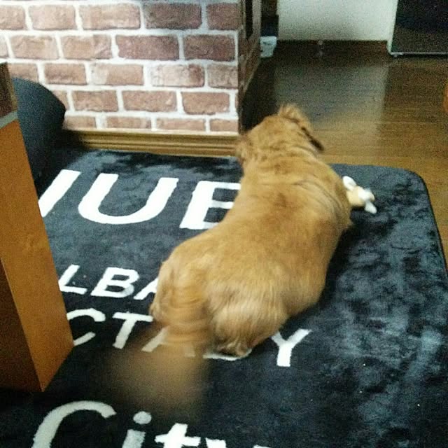 satoさんの実例写真