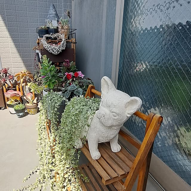 noaさんの部屋