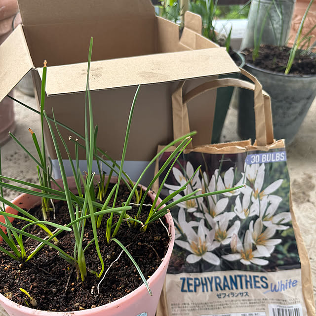 syutmmさんの部屋