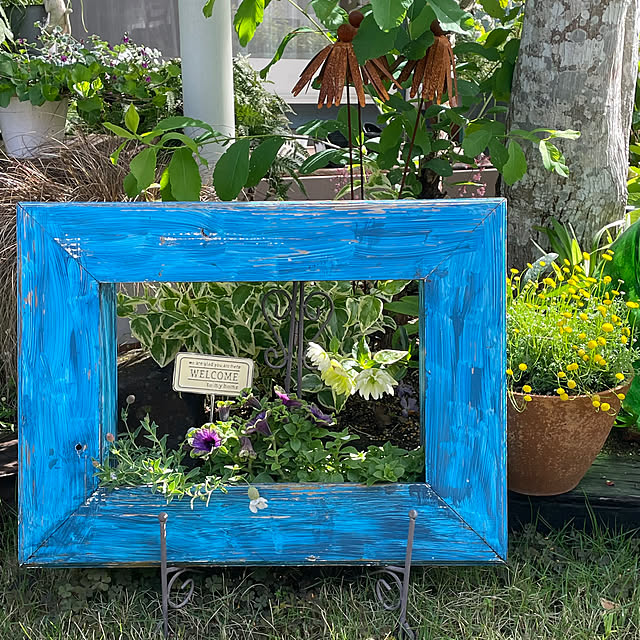 nobikoさんの部屋