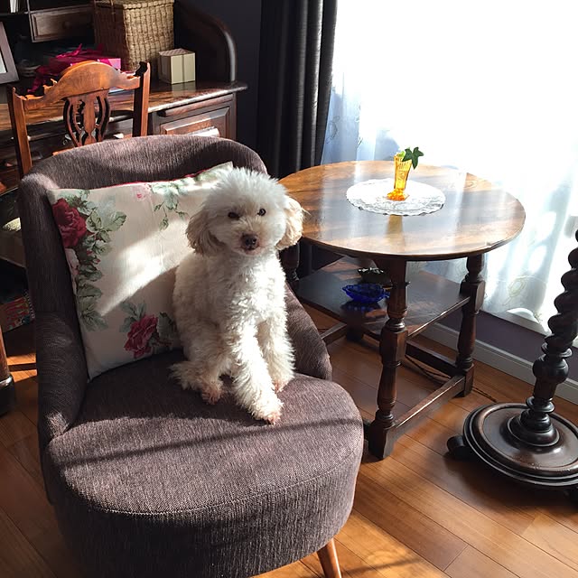 okarinさんの実例写真