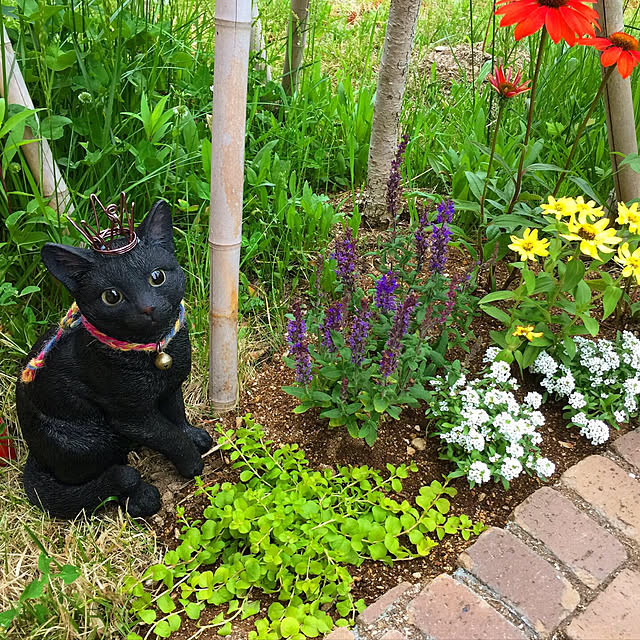 abotin7さんの実例写真