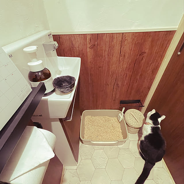 nekosamaさんの実例写真