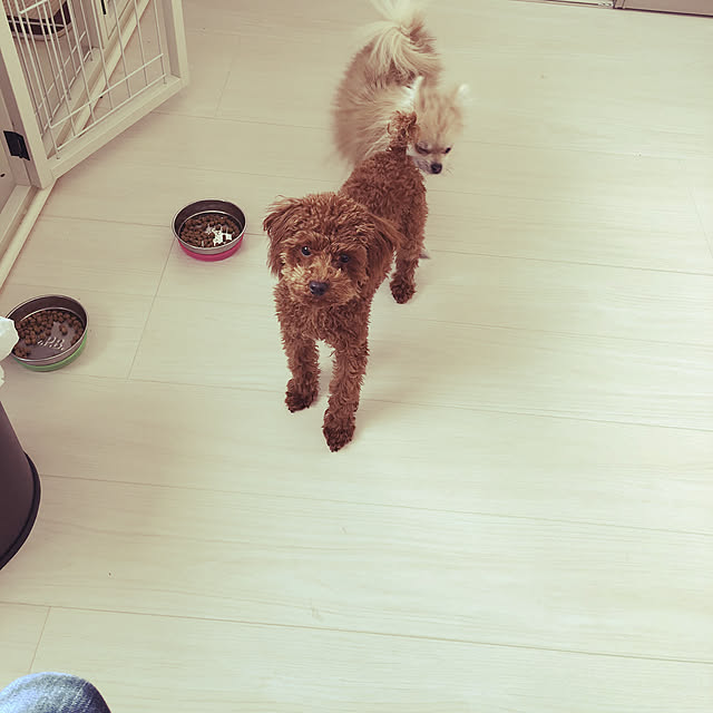 Sayaさんの実例写真