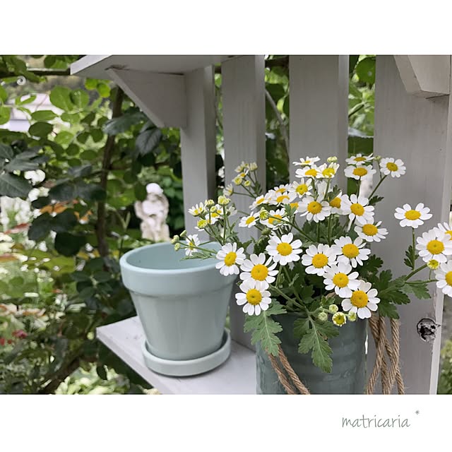 s.mamaさんの実例写真