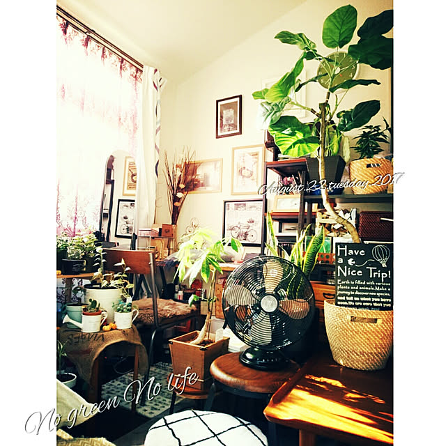 carollcarさんの実例写真