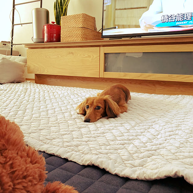 kinariさんの実例写真