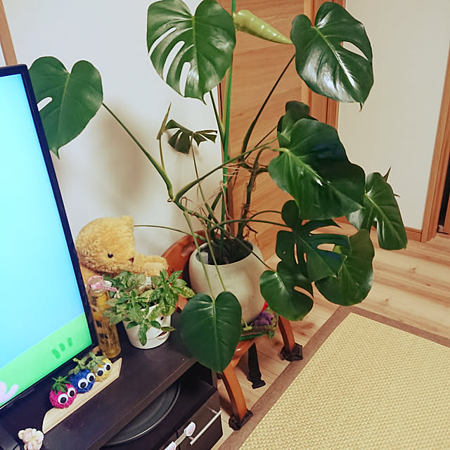 kotaroさんの部屋