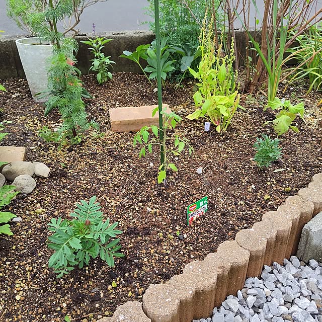 mutsuさんの実例写真