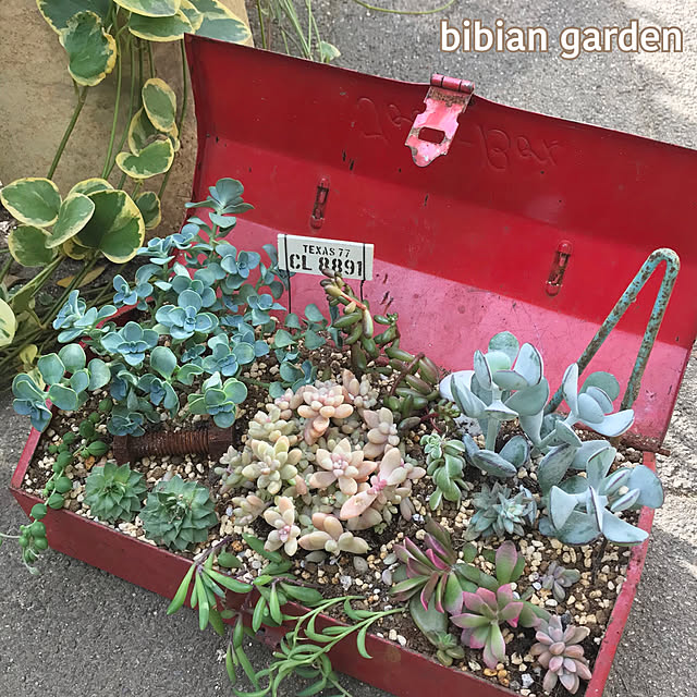 bibianさんの実例写真