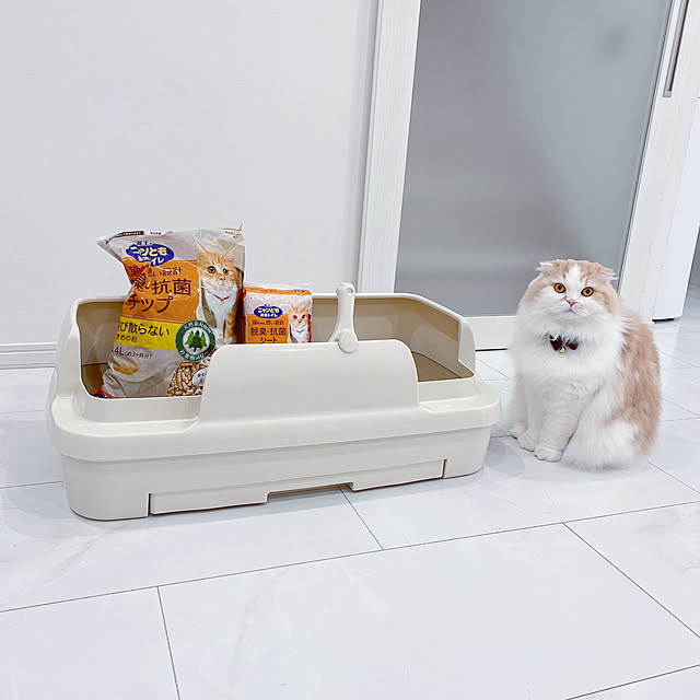 mamiriさんの実例写真