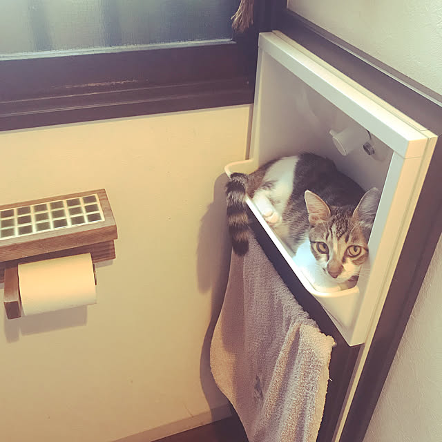 KAORIさんの実例写真