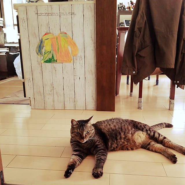 tinamamaさんの実例写真