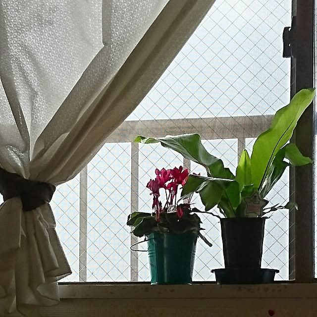 yukieさんの実例写真