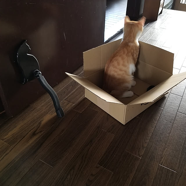 HANIWaさんの実例写真