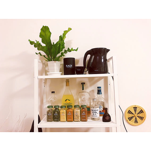 棚/一人暮らし/雑貨/観葉植物のインテリア実例 - 2020-06-20 20:54:04