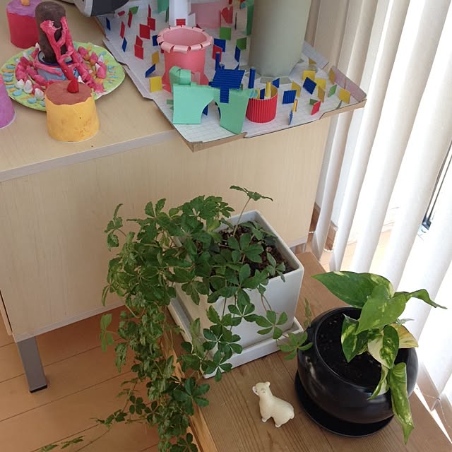 biberuさんの実例写真