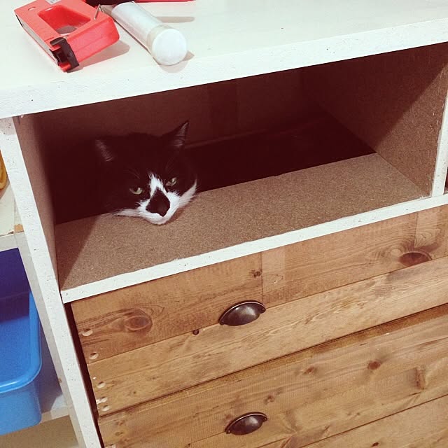 iroirokoubouさんの実例写真
