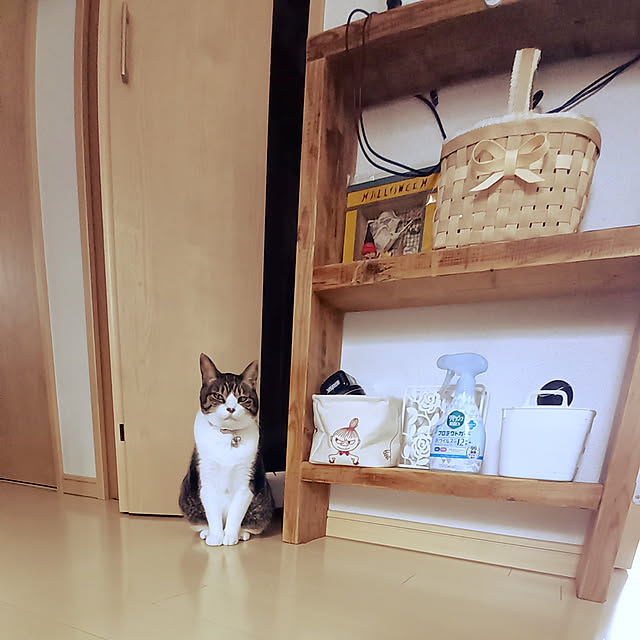 civicglさんの実例写真
