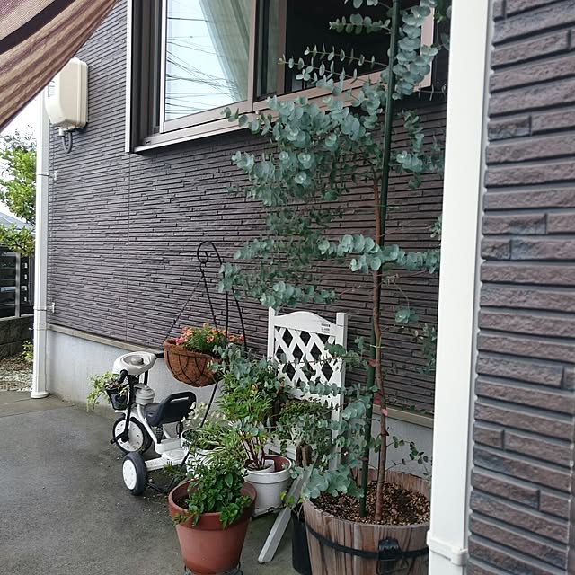 reiさんの実例写真