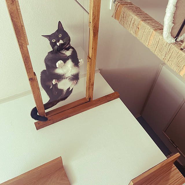 masamasaさんの実例写真