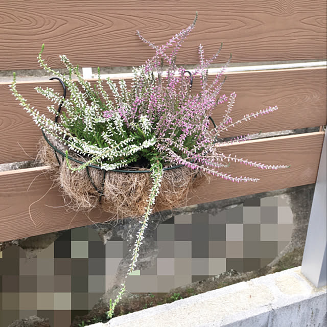 Melさんの実例写真