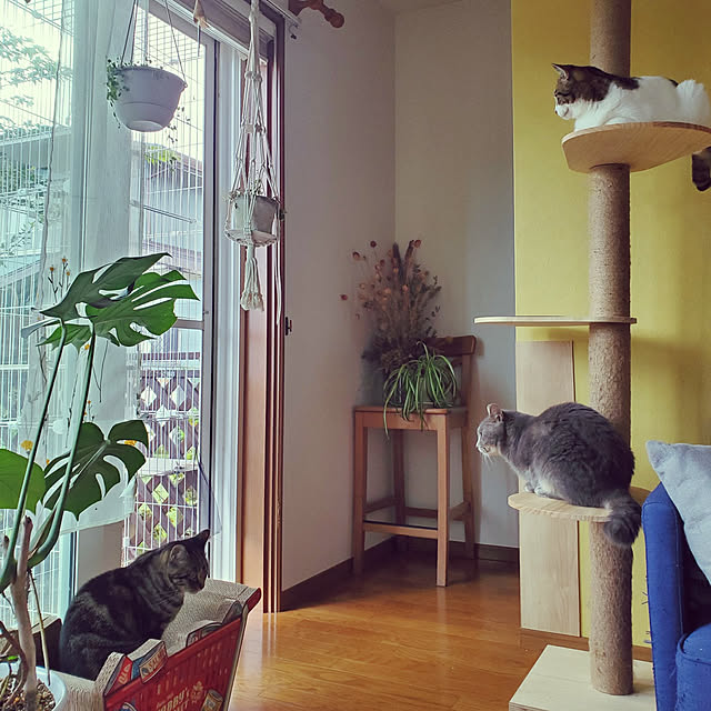 hiroさんの実例写真