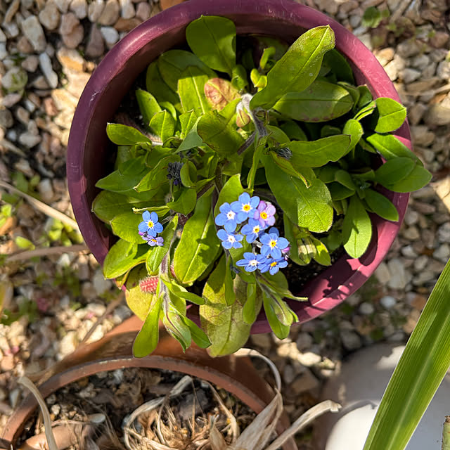 ritsukoさんの部屋