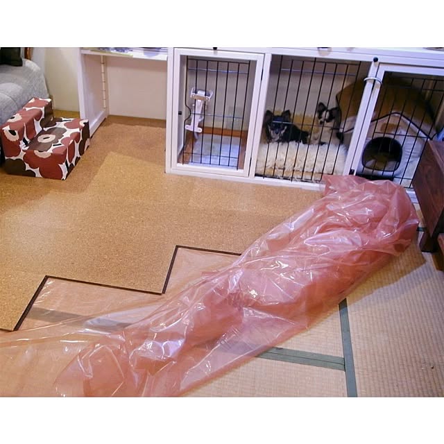Shunsukeさんの実例写真