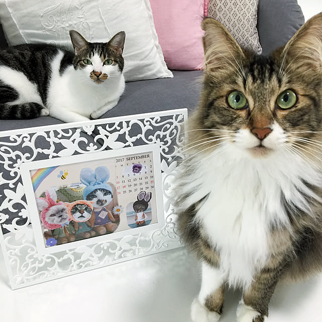 yuchiさんの実例写真