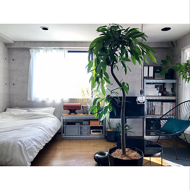 grass_fieldさんの実例写真