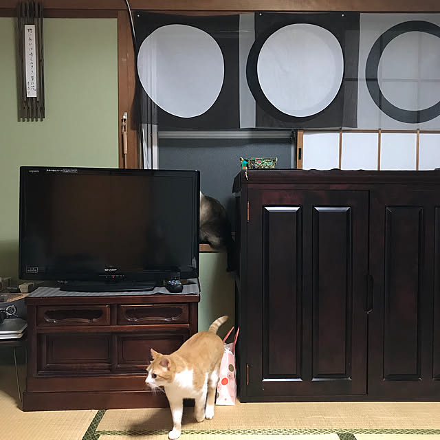 73さんの実例写真