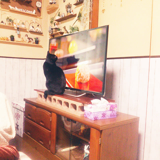 Tomopさんの実例写真