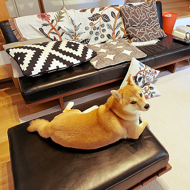 johnp._.qtotoさんの部屋