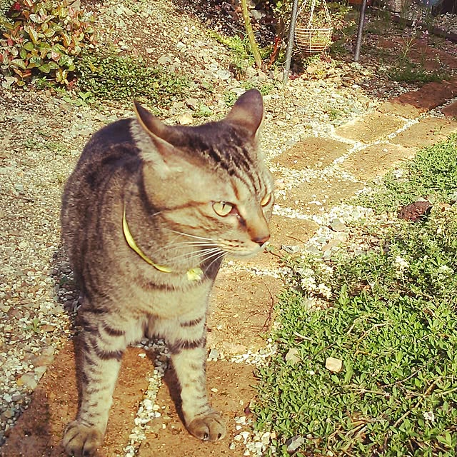 Hinataさんの実例写真