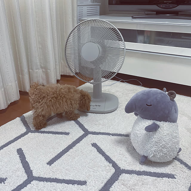 kawauso15さんの部屋