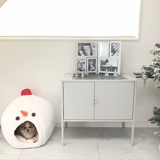 itsumiiiさんの実例写真