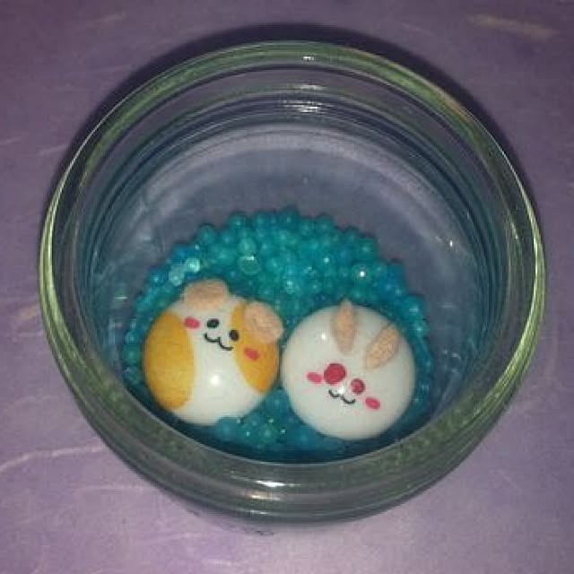 Shigeさんの実例写真