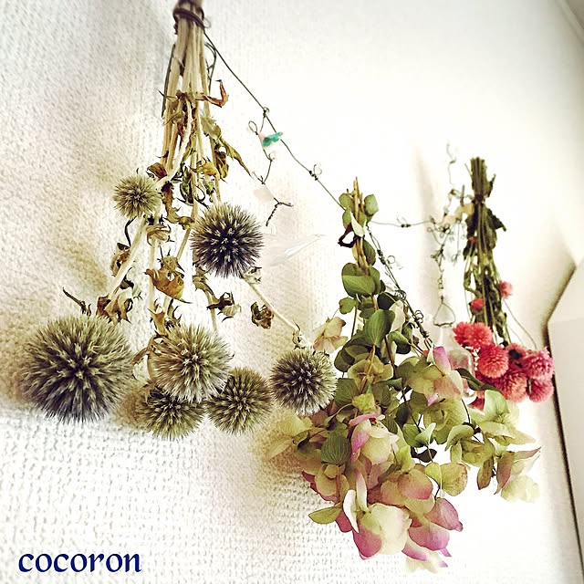 cocoronさんの実例写真