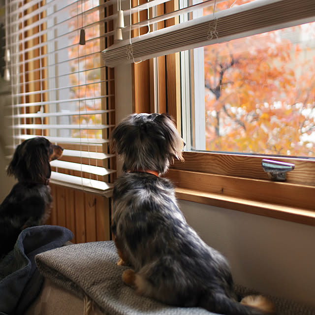 ma.home___さんの部屋