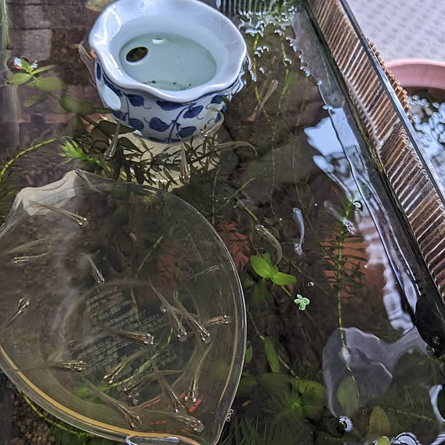 mi-saさんの部屋