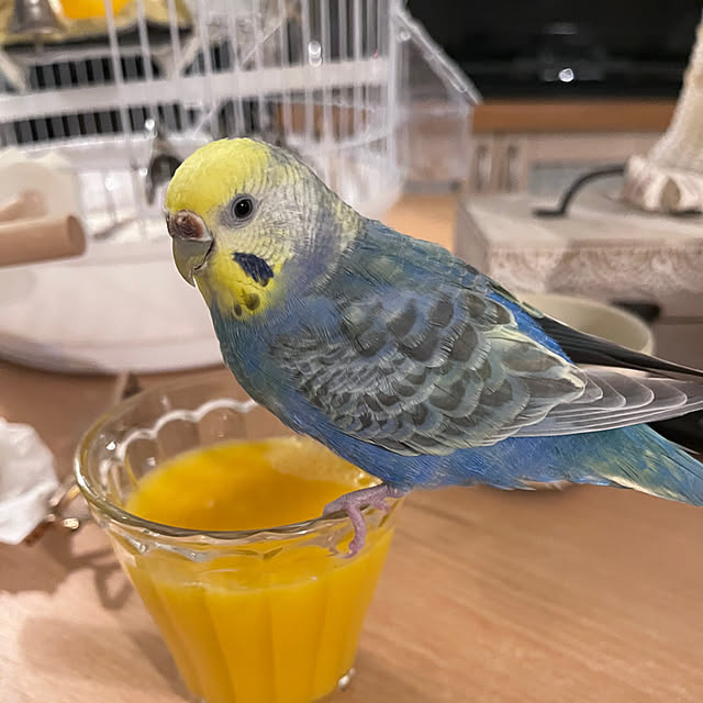 Atsukoさんの部屋