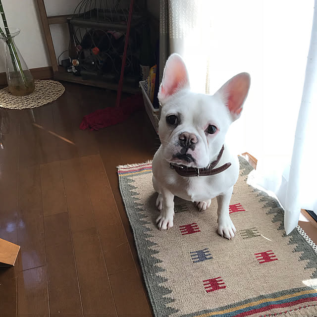 gin_mamaさんの実例写真