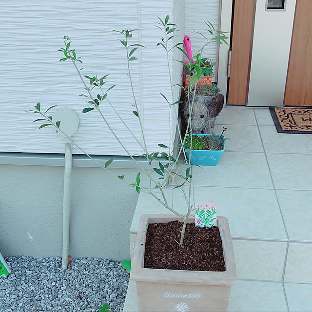 minmim.さんの実例写真