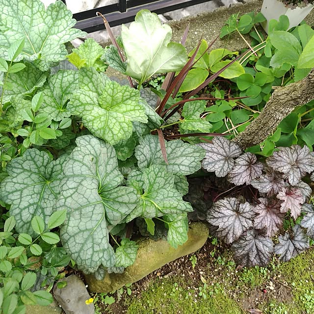 katさんの部屋