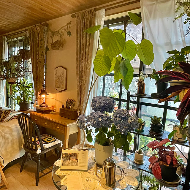 seana3761さんの部屋