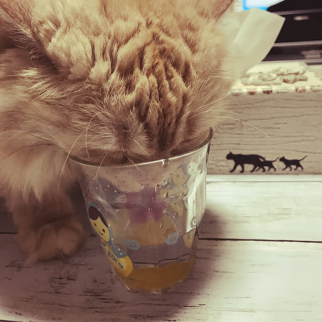 roseさんの実例写真