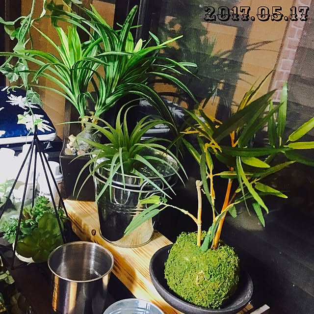 Hideさんの実例写真