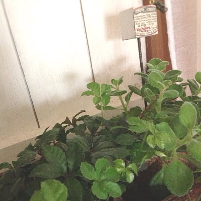 rookuさんの実例写真